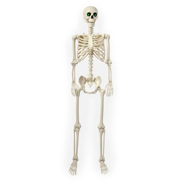 Kirklands LED 64 in.Skeleton 14819958 Kirklands LED 64 in.Skeleton 14819958 - Image 1